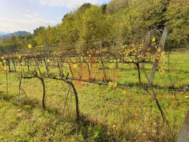 Terreno agricolo, Cesena - Foto 1