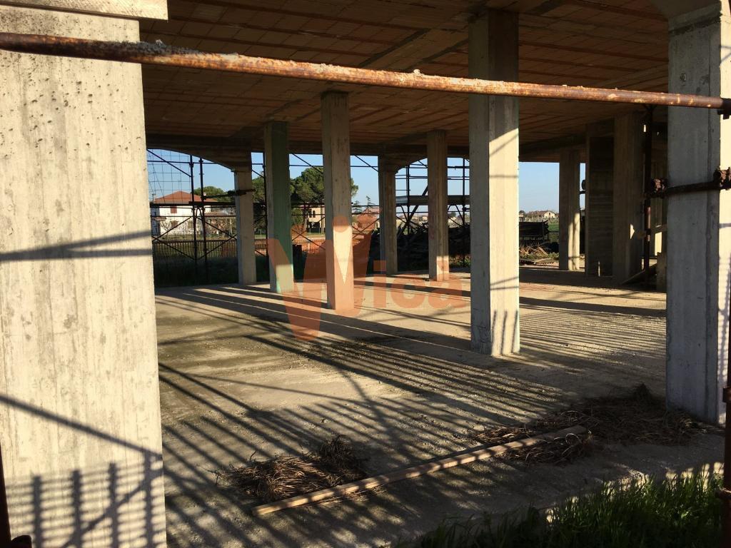 immagine annuncio 7 di 8