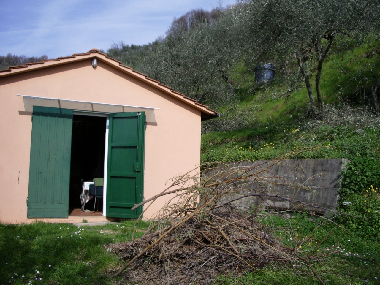 Terreno agricolo in vendita a Lucca