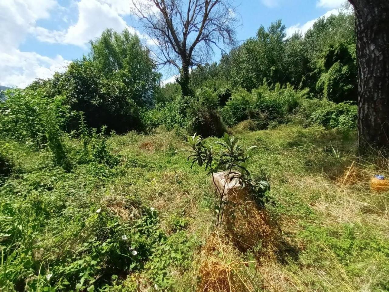 immagine annuncio 3 di 12