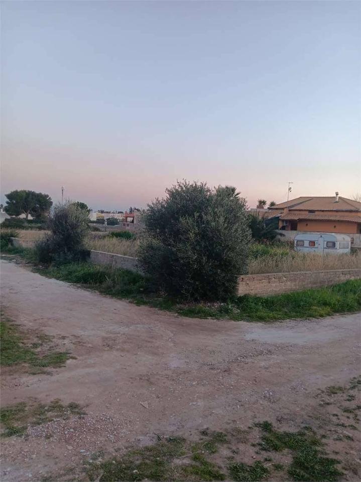 immagine annuncio 3 di 4
