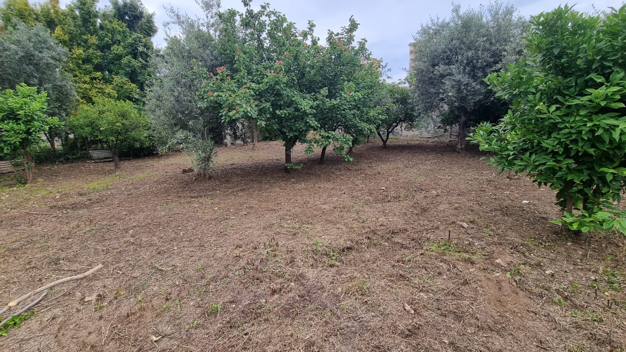 Terreno agricolo in vendita a Palermo