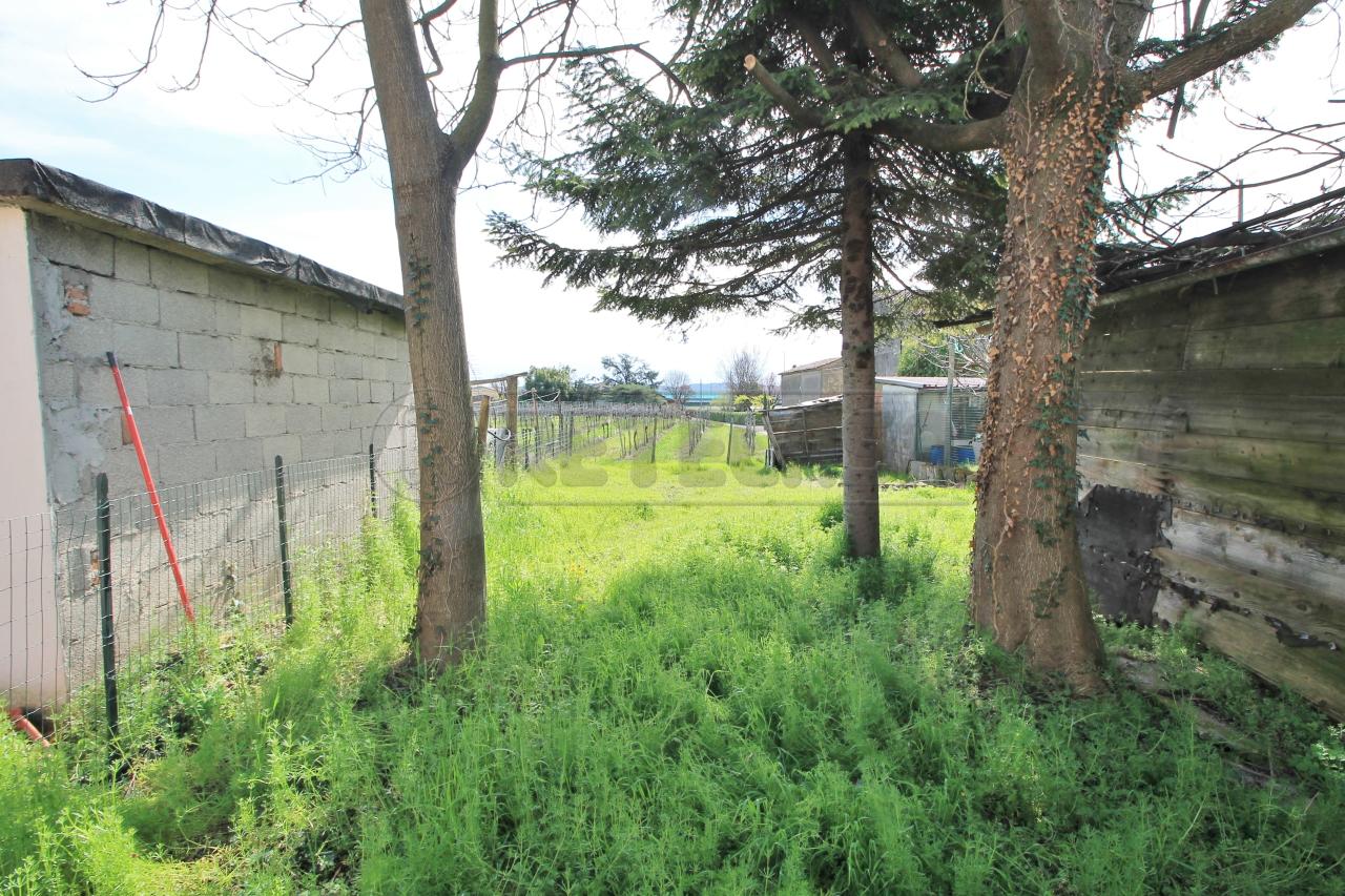 immagine annuncio 4 di 6