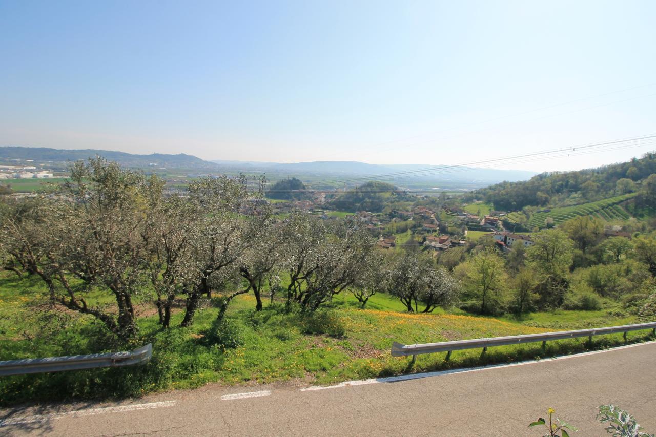 immagine annuncio 9 di 14