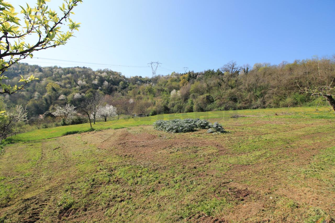 immagine annuncio 8 di 14