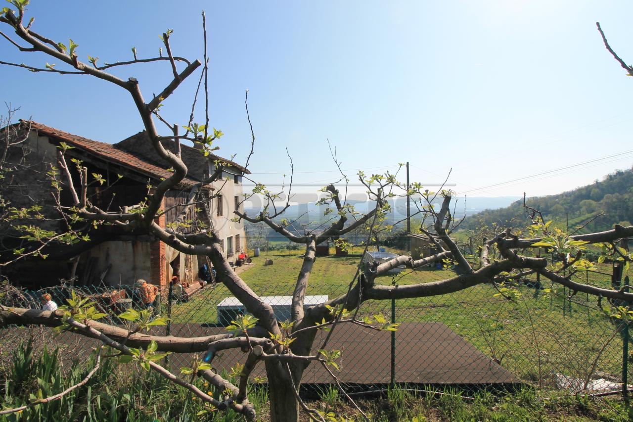 immagine annuncio 6 di 14