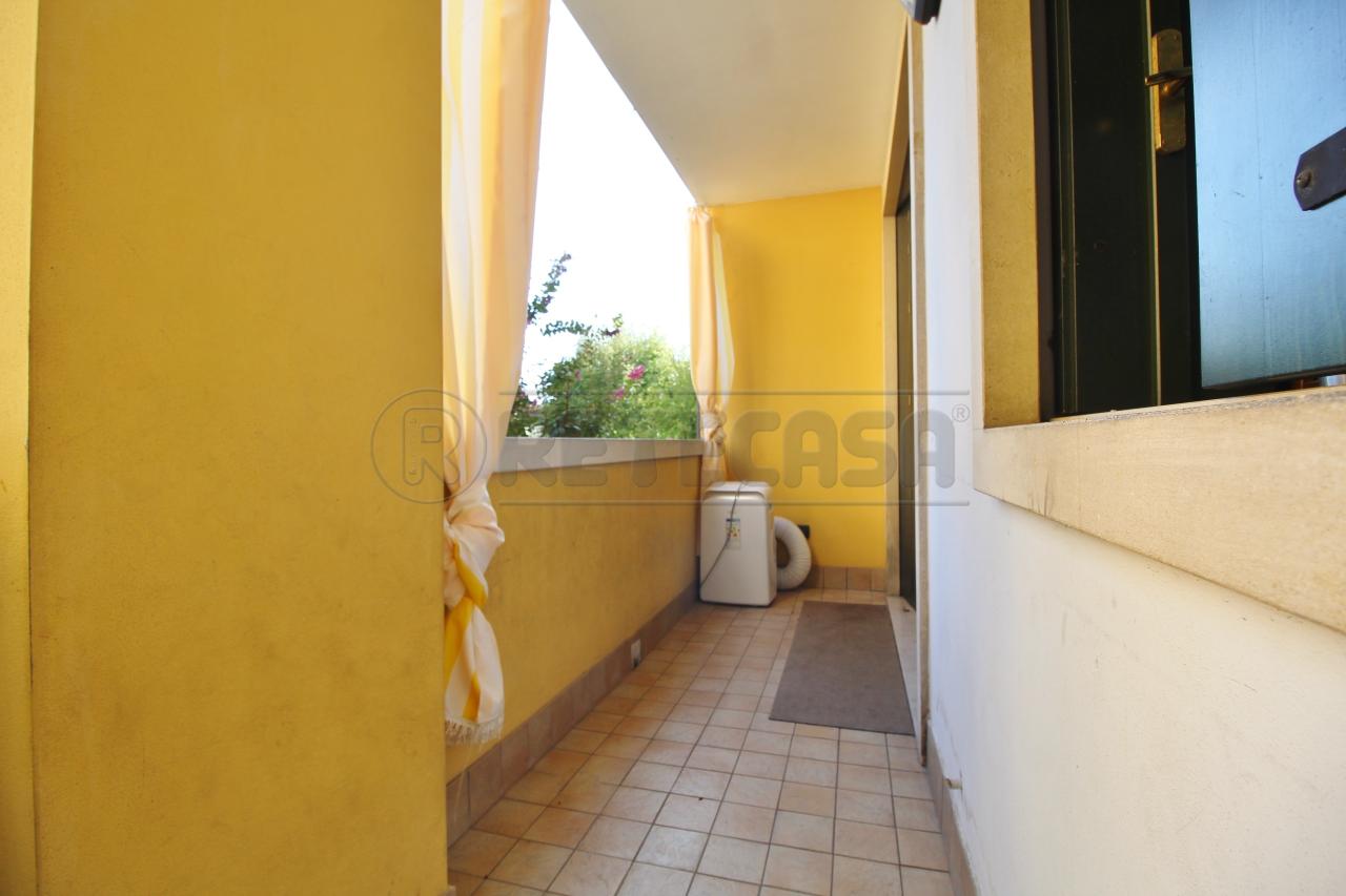 immagine annuncio 4 di 14