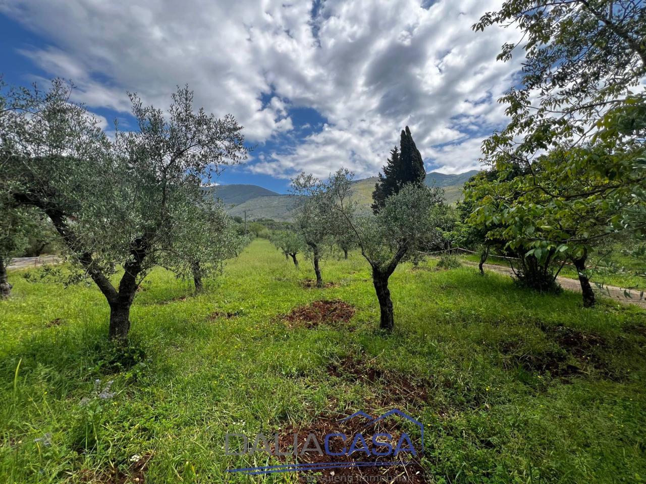 Terreno agricolo in vendita a Itri