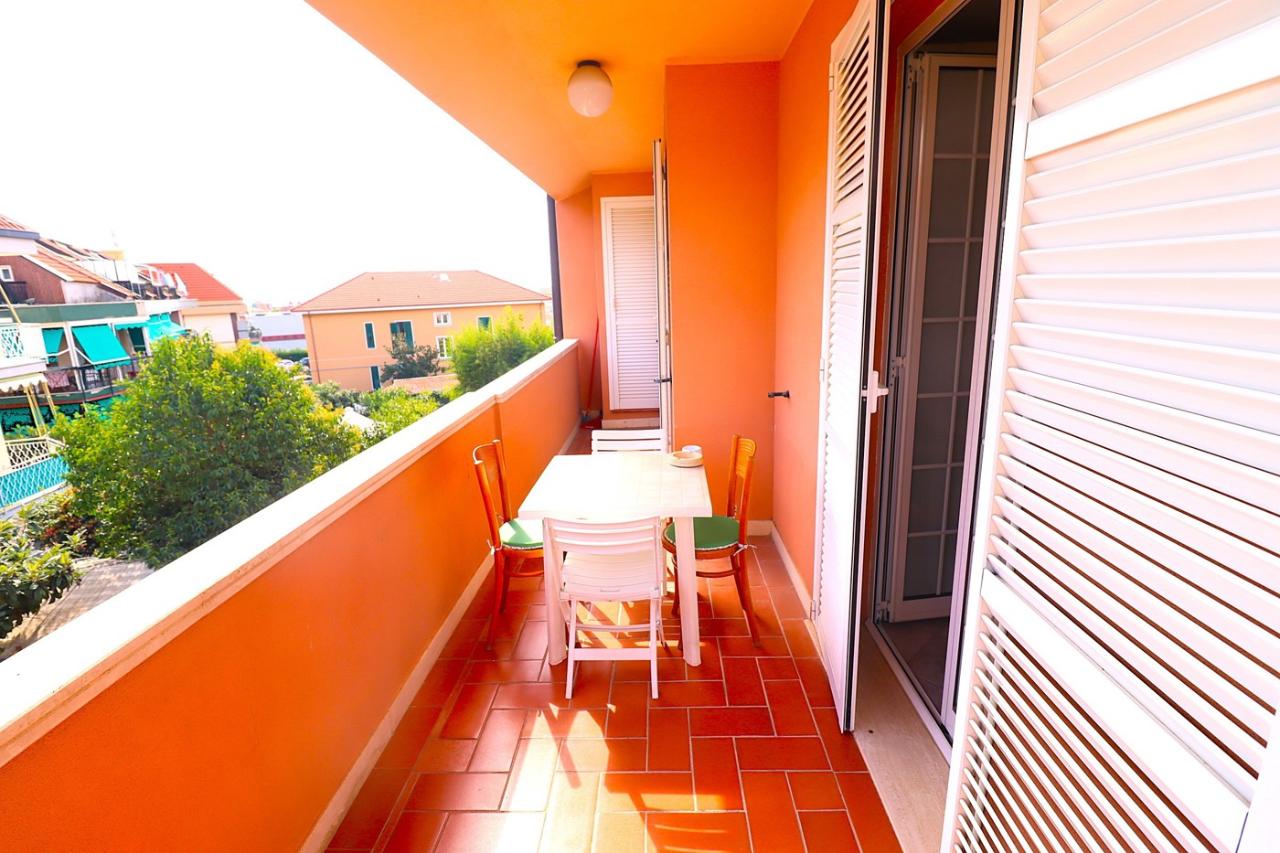 immagine annuncio 9 di 14