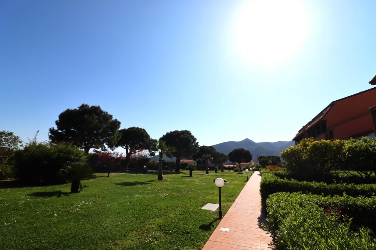 immagine annuncio 8 di 14