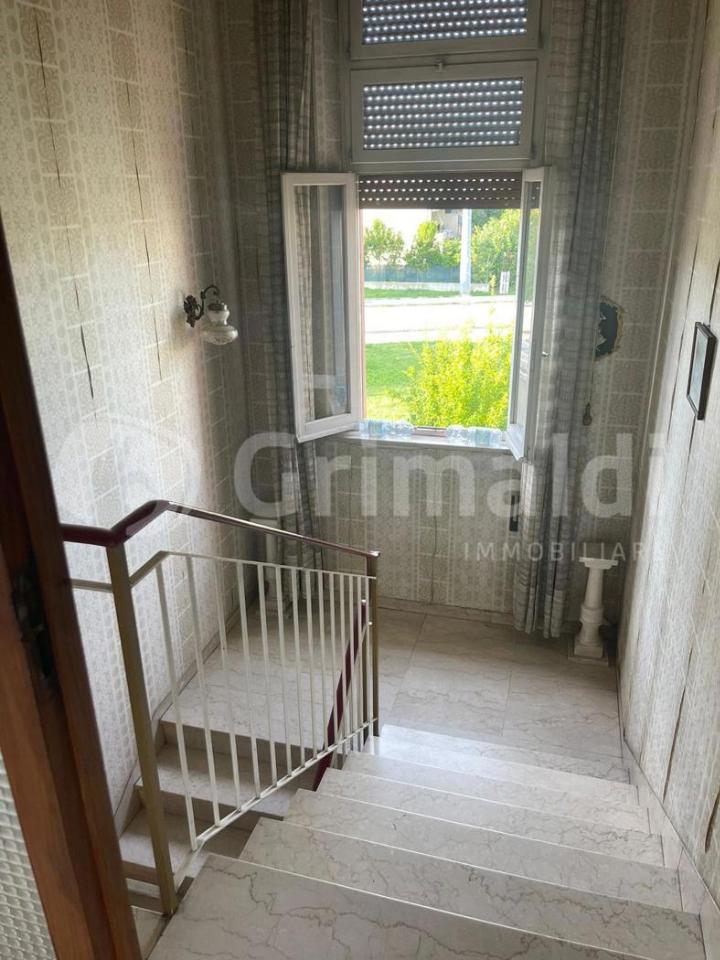 immagine annuncio 6 di 12