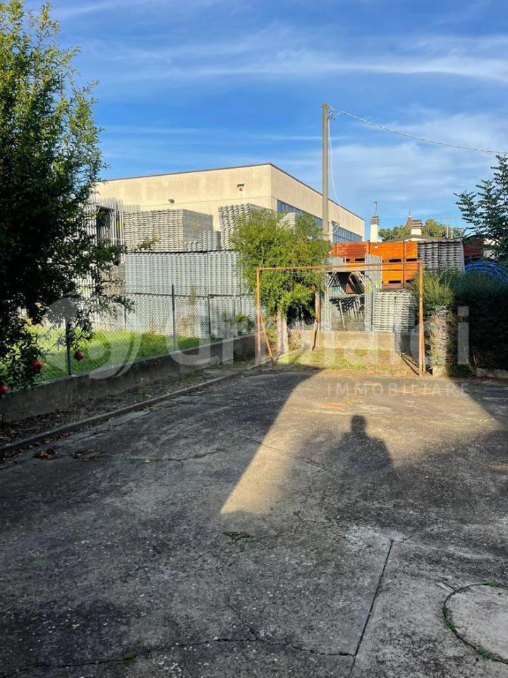 immagine annuncio 7 di 12