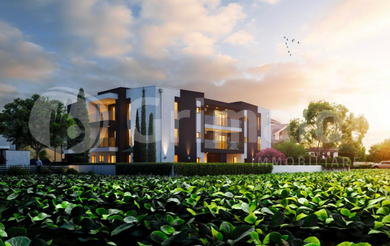 immagine annuncio 7 di 14