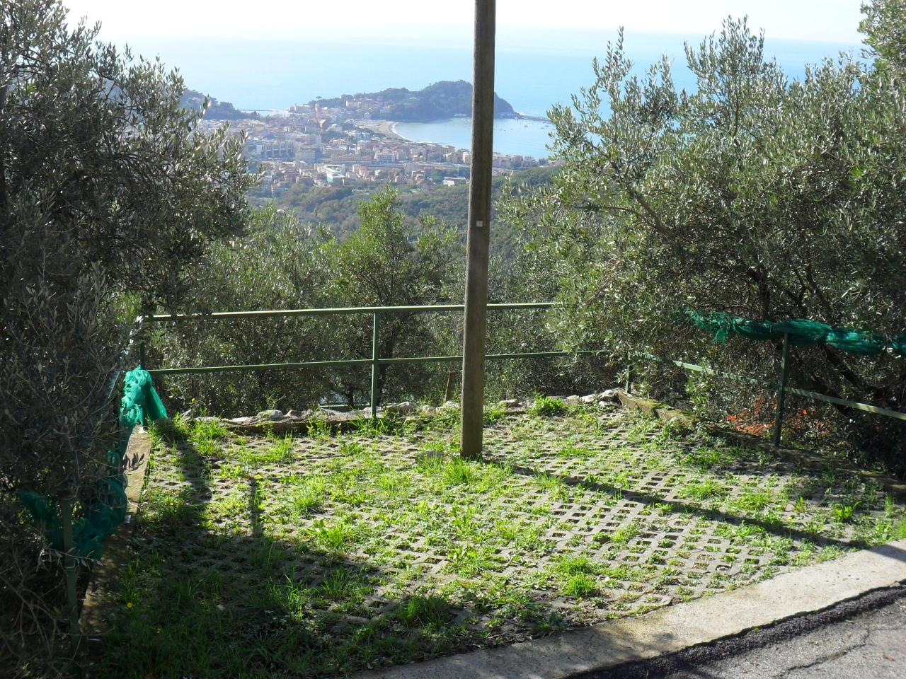 immagine annuncio 6 di 7