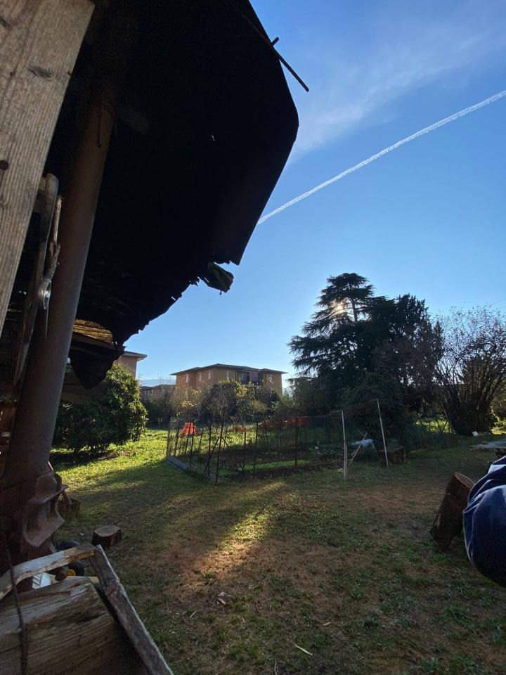 immagine annuncio 5 di 8