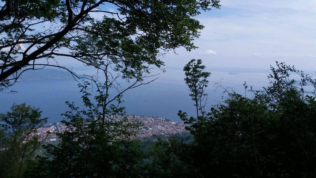 immagine annuncio 5 di 6