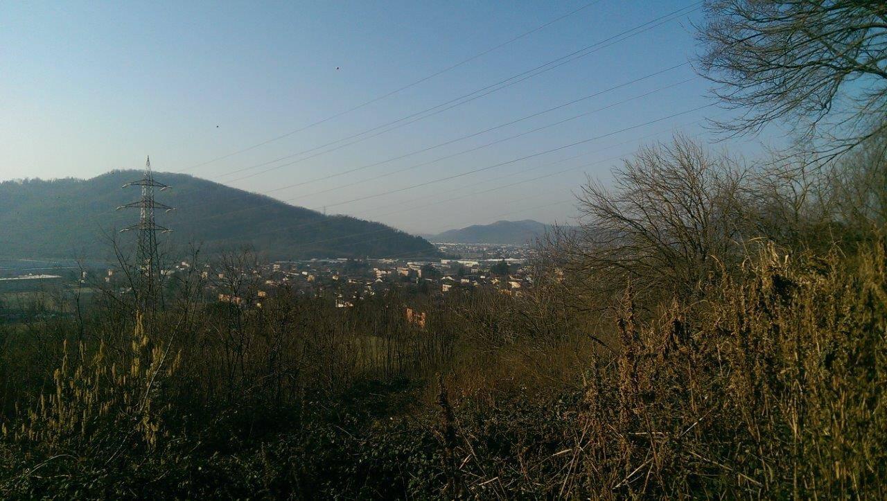 immagine annuncio 3 di 13