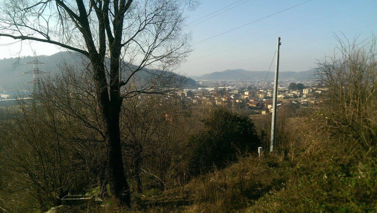 immagine annuncio 9 di 13