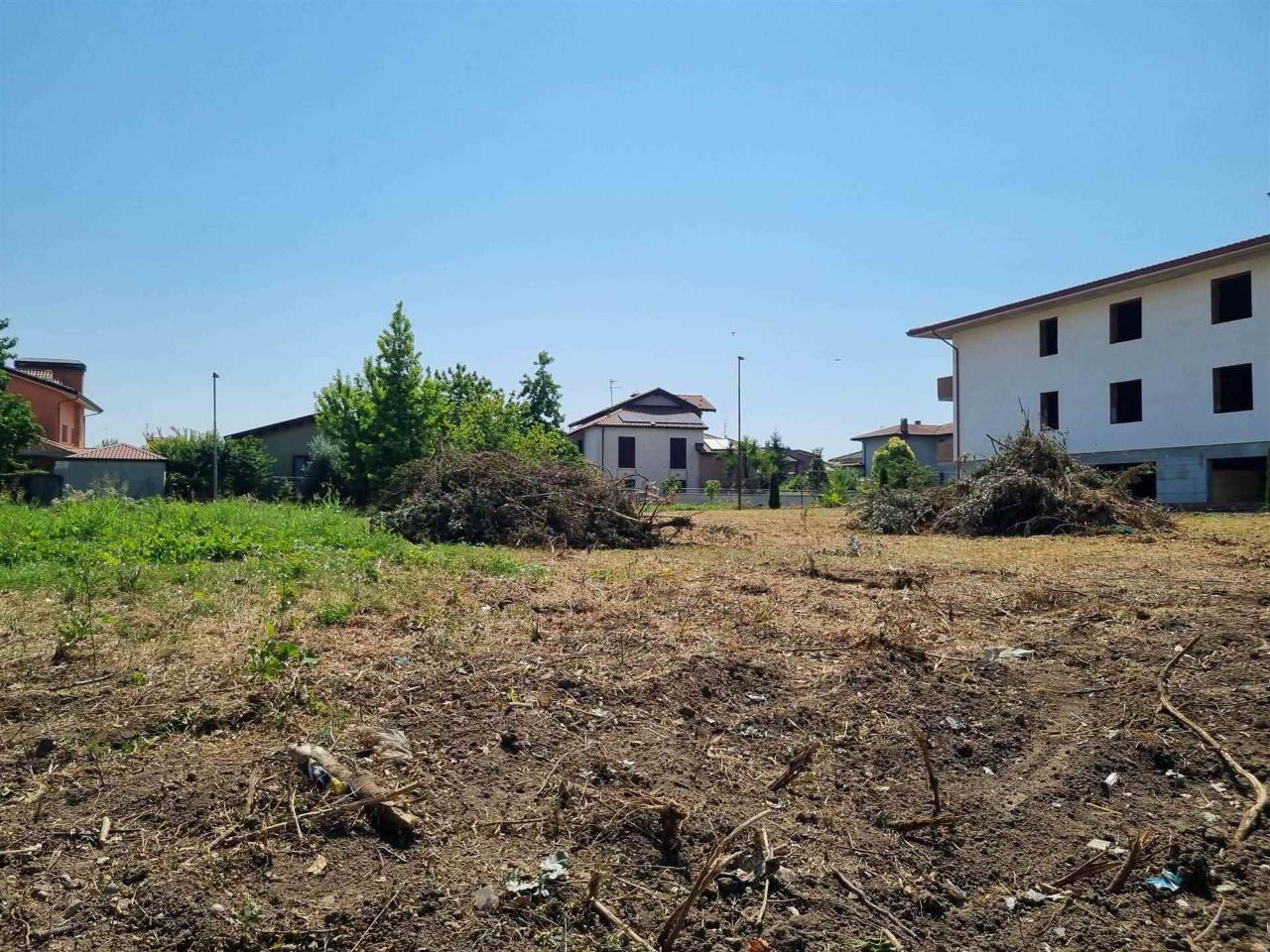 immagine annuncio 12 di 14