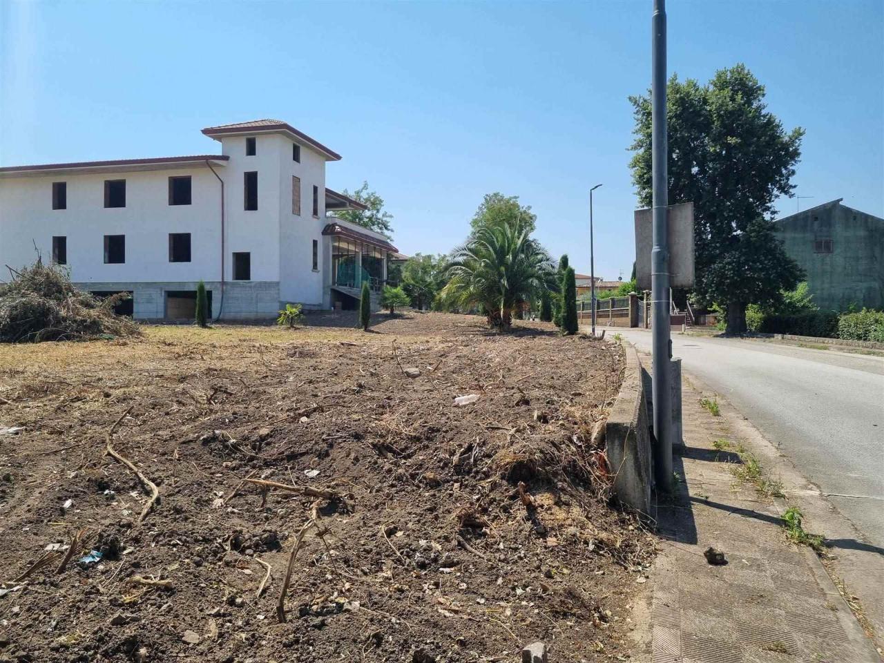 immagine annuncio 13 di 14