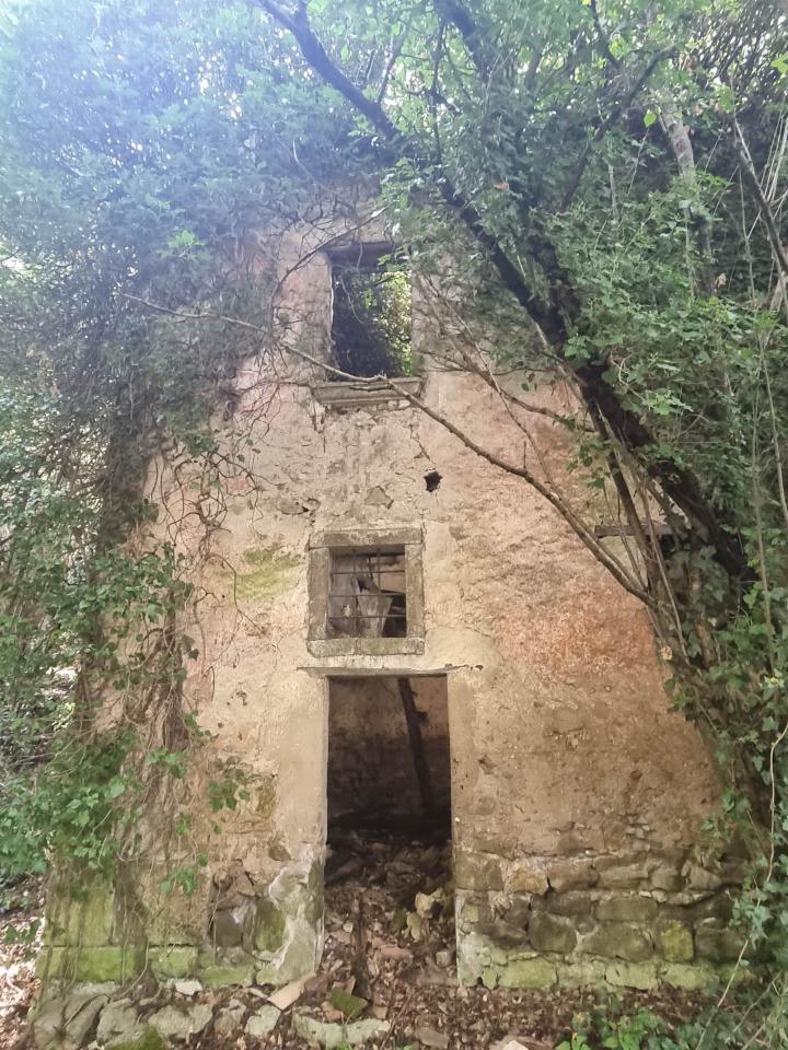 immagine annuncio 10 di 15