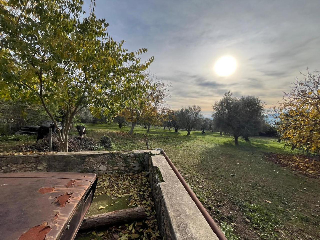 immagine annuncio 4 di 8