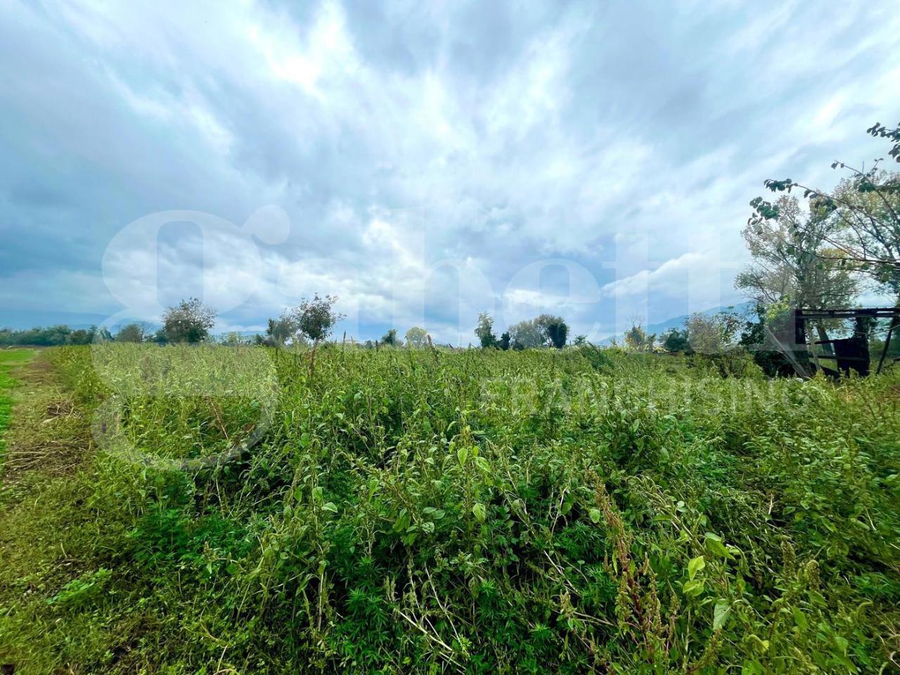 immagine annuncio 8 di 11