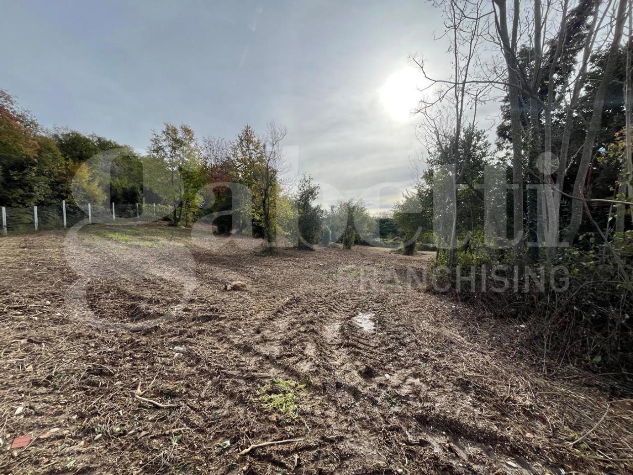 immagine annuncio 6 di 9