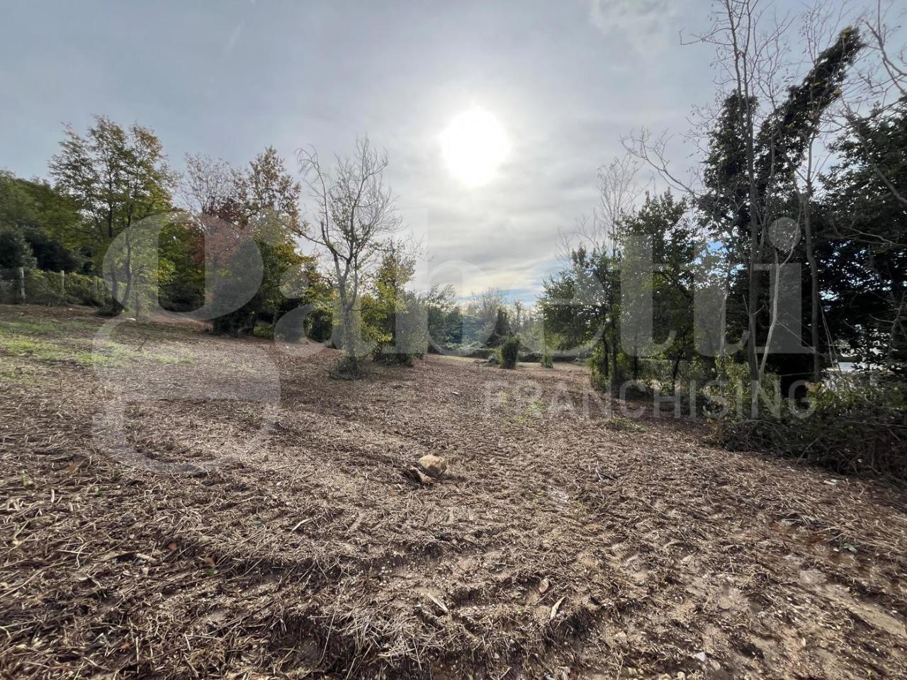 immagine annuncio 5 di 9