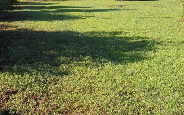 Building land, Carbonera - Photo 1