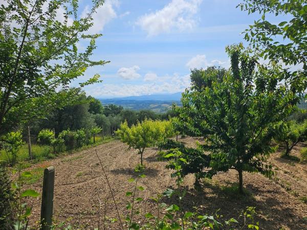 Magazzino in Località Muraltello, Penna In Teverina, {3} - Foto 2