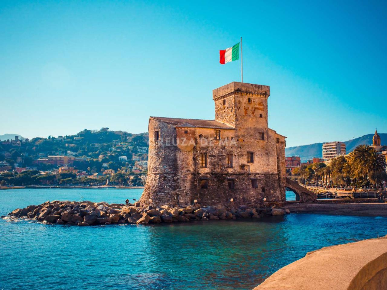 immagine annuncio 7 di 8