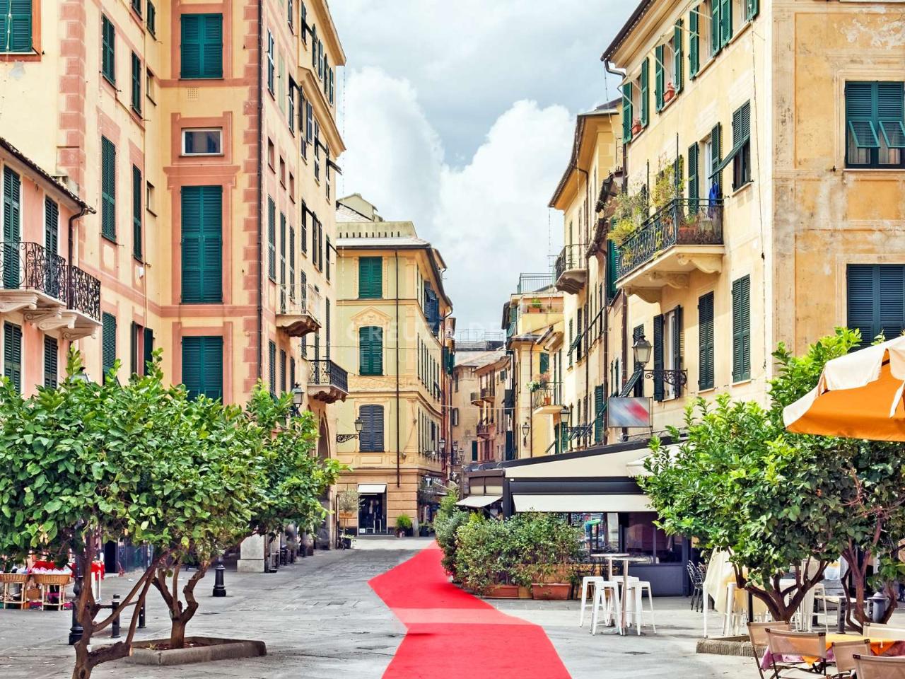 immagine annuncio 4 di 8