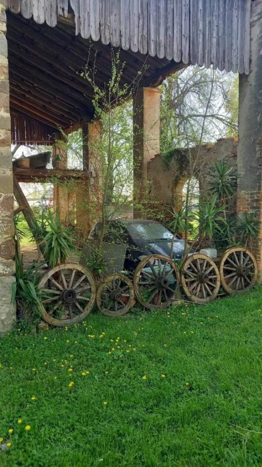 immagine annuncio 10 di 15