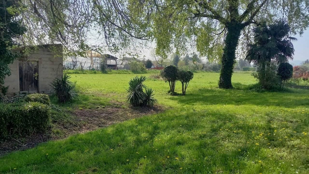 immagine annuncio 11 di 15