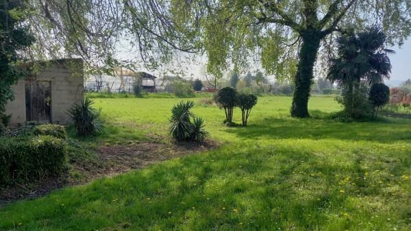 immagine annuncio 11 di 15