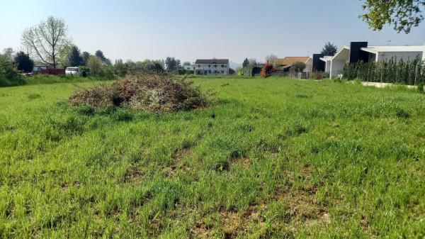 immagine annuncio 14 di 15