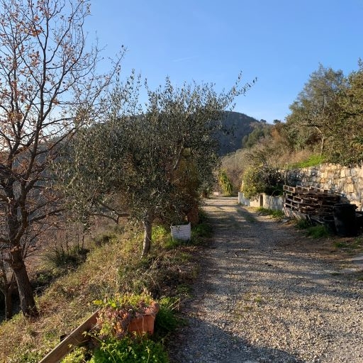immagine annuncio 4 di 7