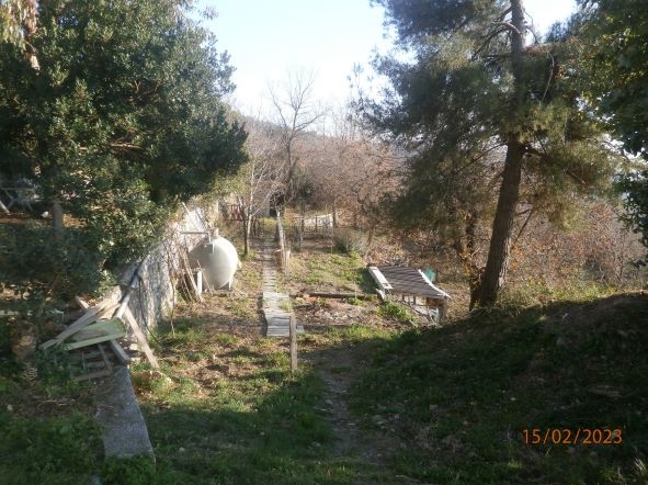 immagine annuncio 5 di 7