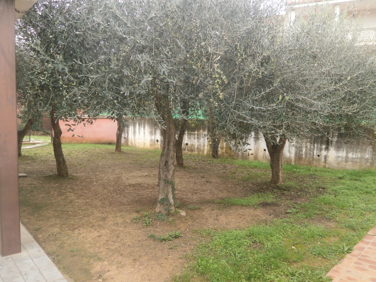 immagine annuncio 1 di 3