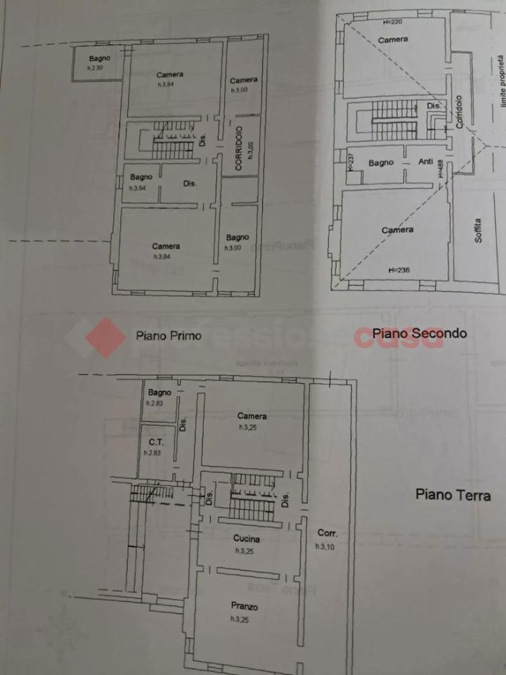 immagine annuncio 5 di 7