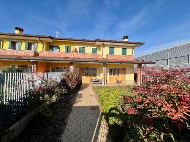 insertion image