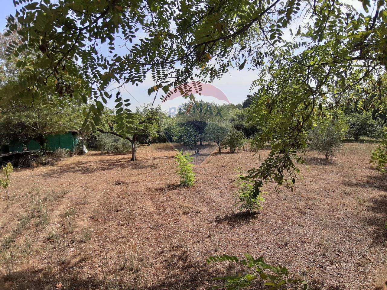 Terreno agricolo in vendita a Ladispoli