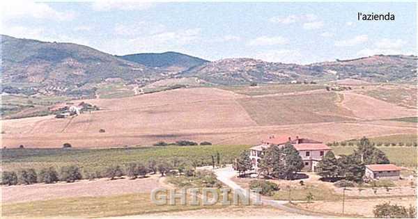 Azienda agricola in , Castel del Piano - Foto 1
