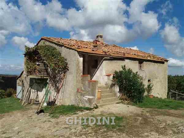 Azienda agricola in , Scansano - Foto 1