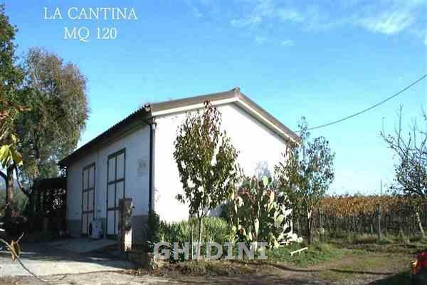 Azienda agricola in , Roccastrada - Foto 1