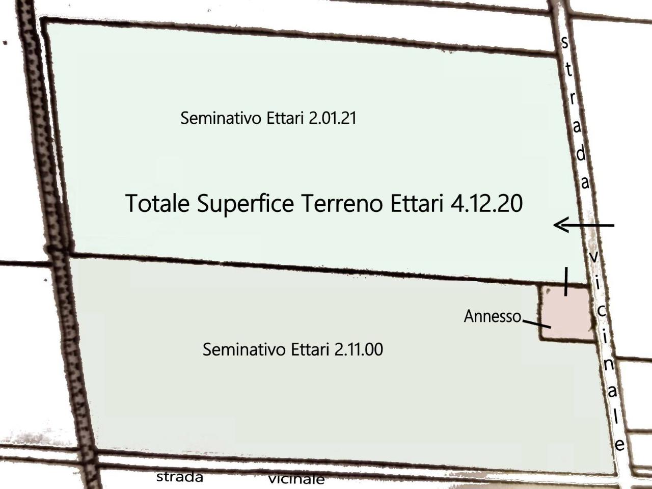 immagine annuncio 1 di 11