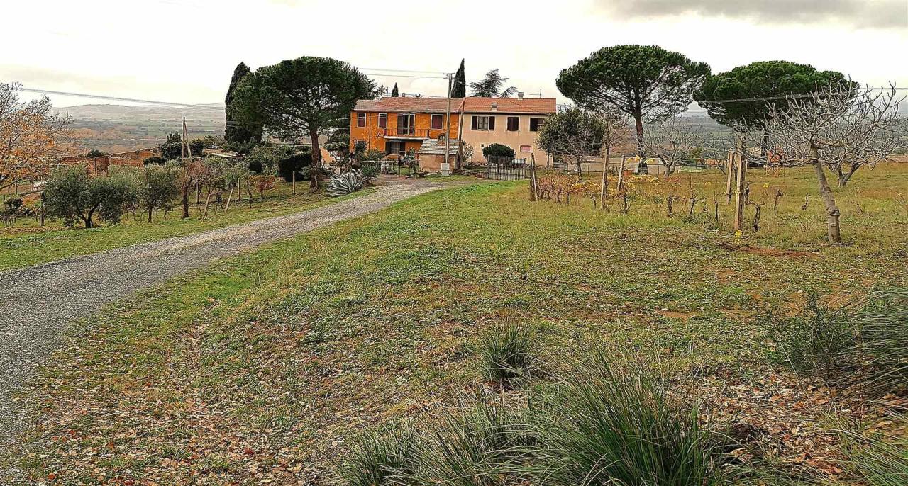 Azienda agricola in Zona Granaione, Cinigiano, Grosseto, Cinigiano, {3} - Foto 2