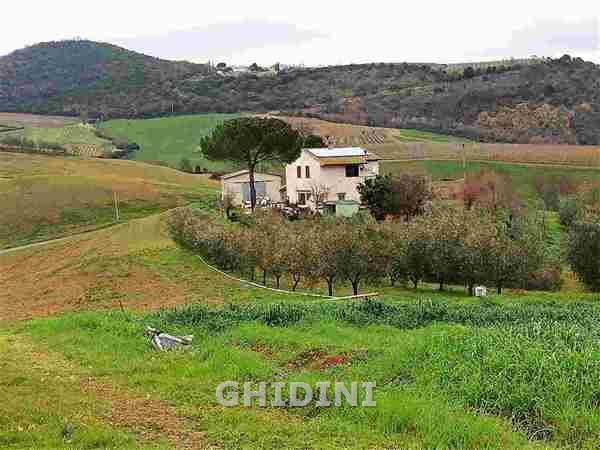 Azienda agricola in , Scansano - Foto 1