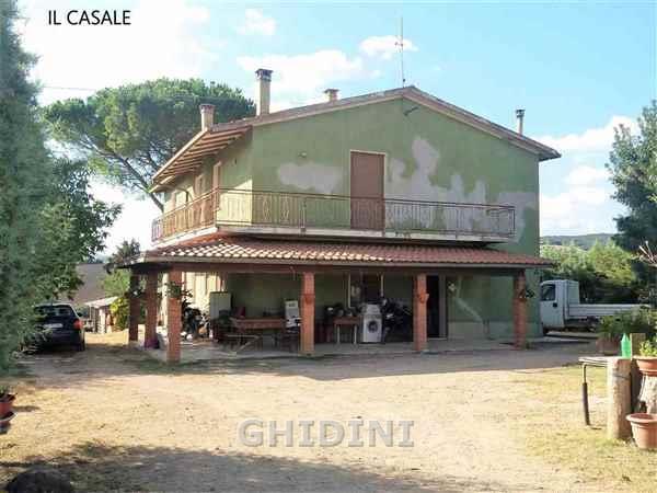 Azienda agricola in , Scansano - Foto 1